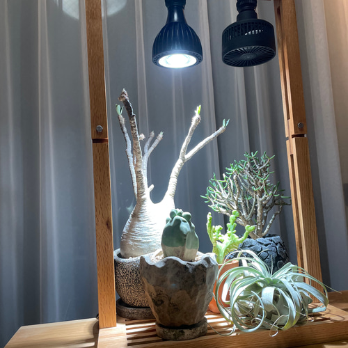 植物育成LEDライトスタンド［オーク］LED.サーキュレーター付属