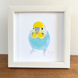 p-jet 正方形 数量限定直筆サイン入り複製画 セキセイインコ 白
