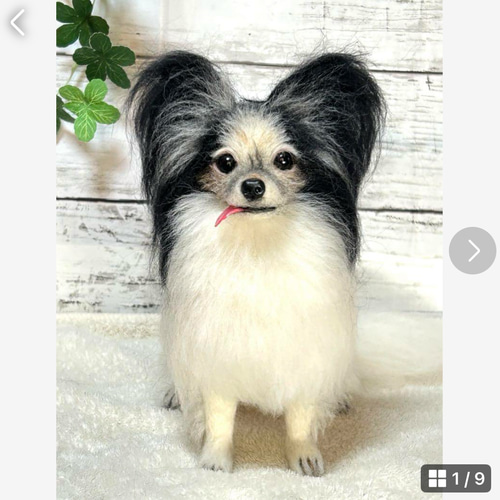 ☆羊毛フェルト☆【オーダーメイド】☆ハンドメイド☆リアル☆パピヨン