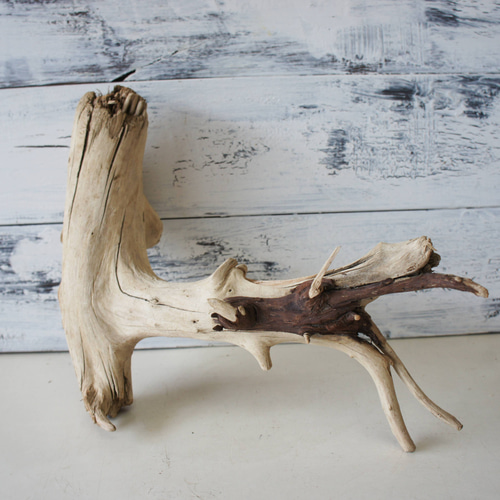 流木 あく抜き処理 煮沸消毒済 テラリウム 爬虫類 登り木 レイアウト