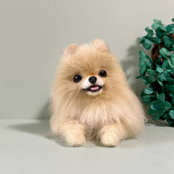 羊毛フェルト にこにこポメラニアン 送料無料 クリーム 羊毛フェルト