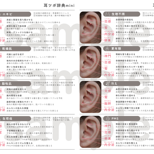 耳ツボジュエリー | 耳つぼ辞典mini vol.1 | 耳つぼマップ その他
