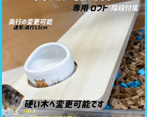 3be2488cca25565c7bc538cbff3aa0