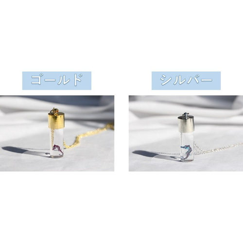 タツノオトシゴ 透明標本 その他雑貨 カイセイ加工透明屋パク 通販