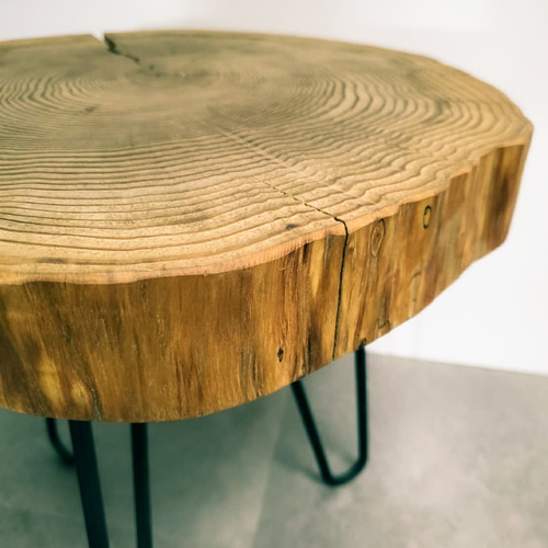 ◇Daytona掲載商品◇アイアン＆切り株のサイドテーブル 観葉植物が