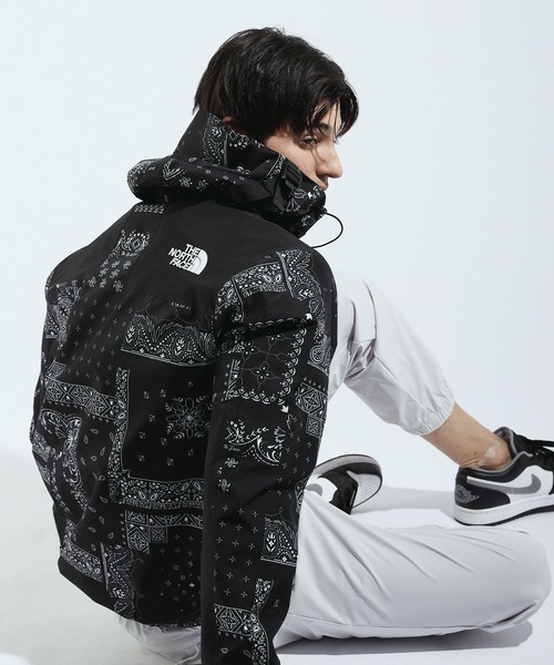 セール】【THE NORTH FACE/ザノースフェイス】日本未発売 ゴアテックス