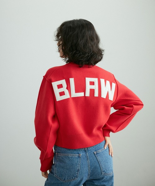 サステナブル・洗える】フェルト刺しゅうニットプルオーバー（ニット