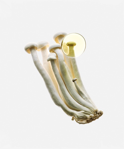 LOEWE Earth Elixir 50ml