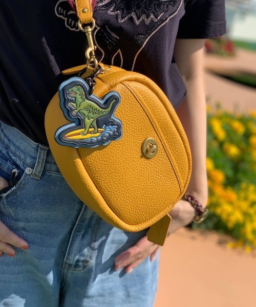 COACH（コーチ）の「カメラ バッグ（ショルダーバッグ）」 - WEAR