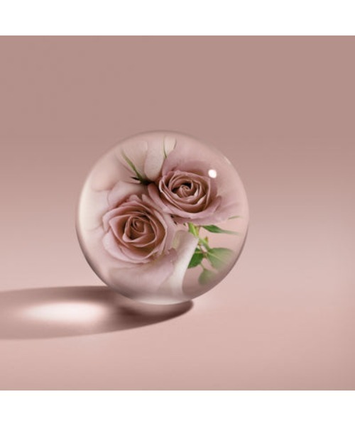 ローズデューン オードトワレ 100ml｜モルトンブラウン MOLTON BROWN