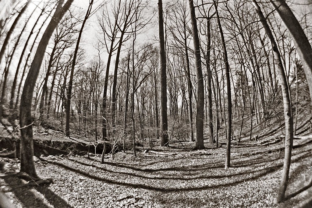 Fish-Eye-Takumar 18mm F11 Reviews - M42 Screwmount Extreme Wide