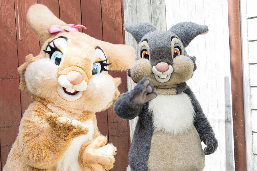 ミスバニー】プロフィール＆グッズまとめ！とんすけの彼女