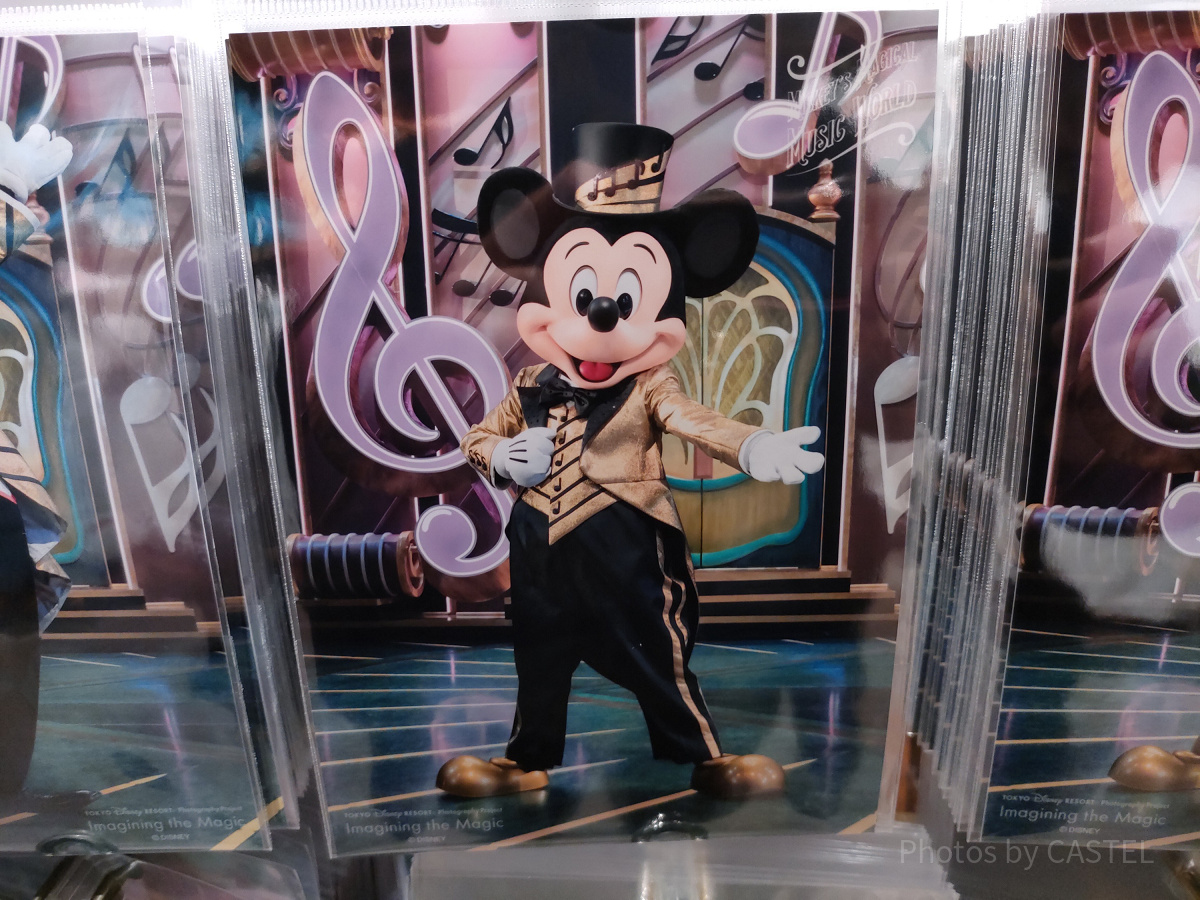 ディズニーイマジニングザマジックグッズ：写真集| キャステル