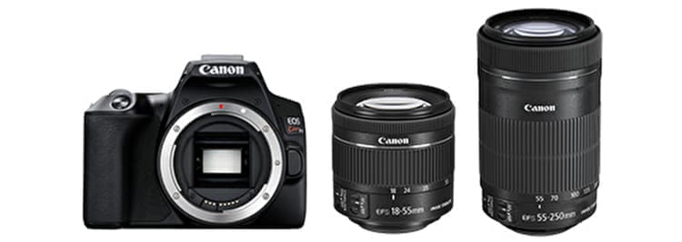 一眼レフのおすすめ2025｜初心者でも簡単にキレイな写真が撮れる7選