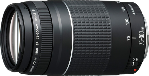 EF75-300mm F4-5.6 IIIで広がる撮影の可能性 - 魅惑の中望遠