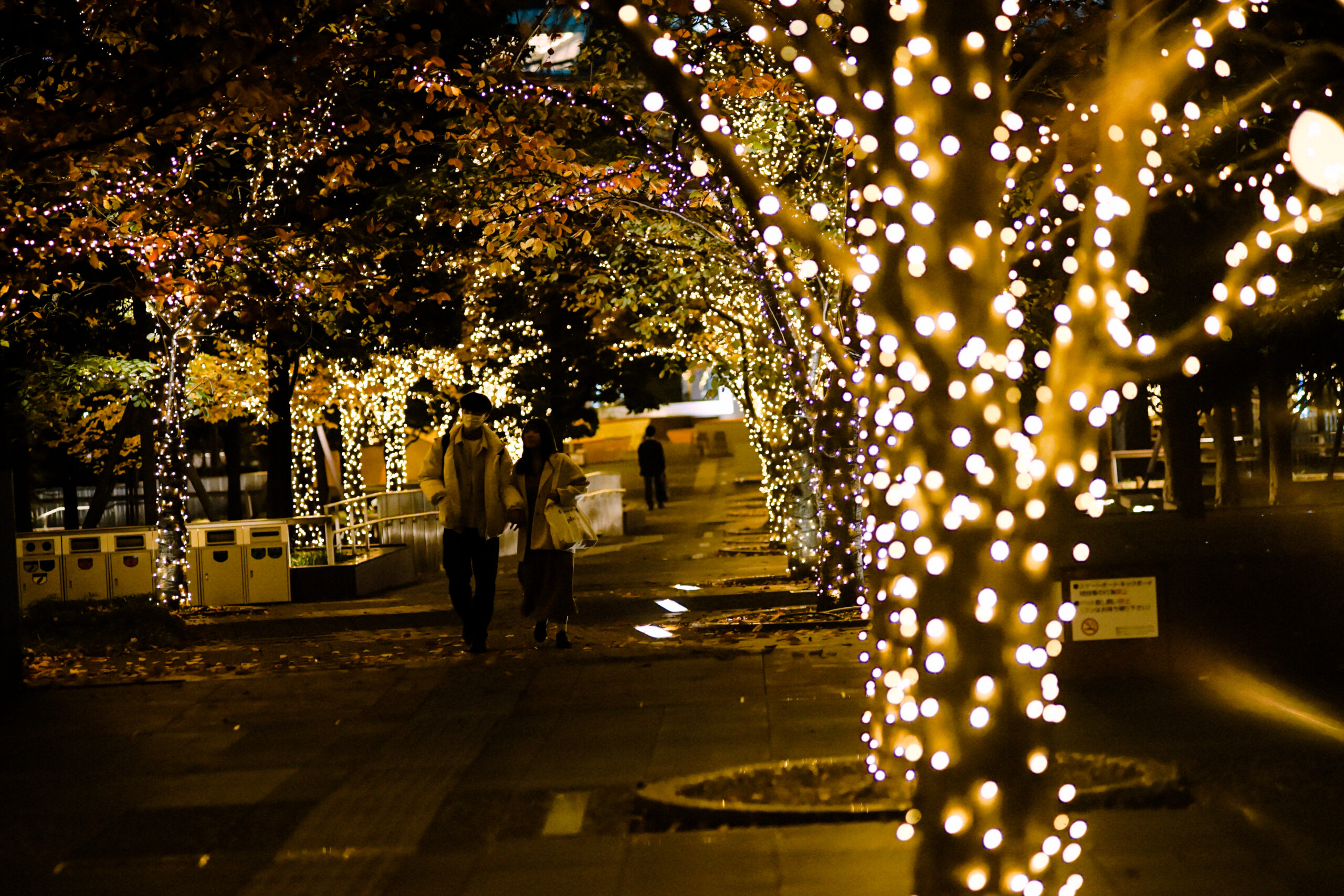 作例&レビュー】CONTAX Sonnar T*135mm F2.8 MM 中望遠単焦点の魅力