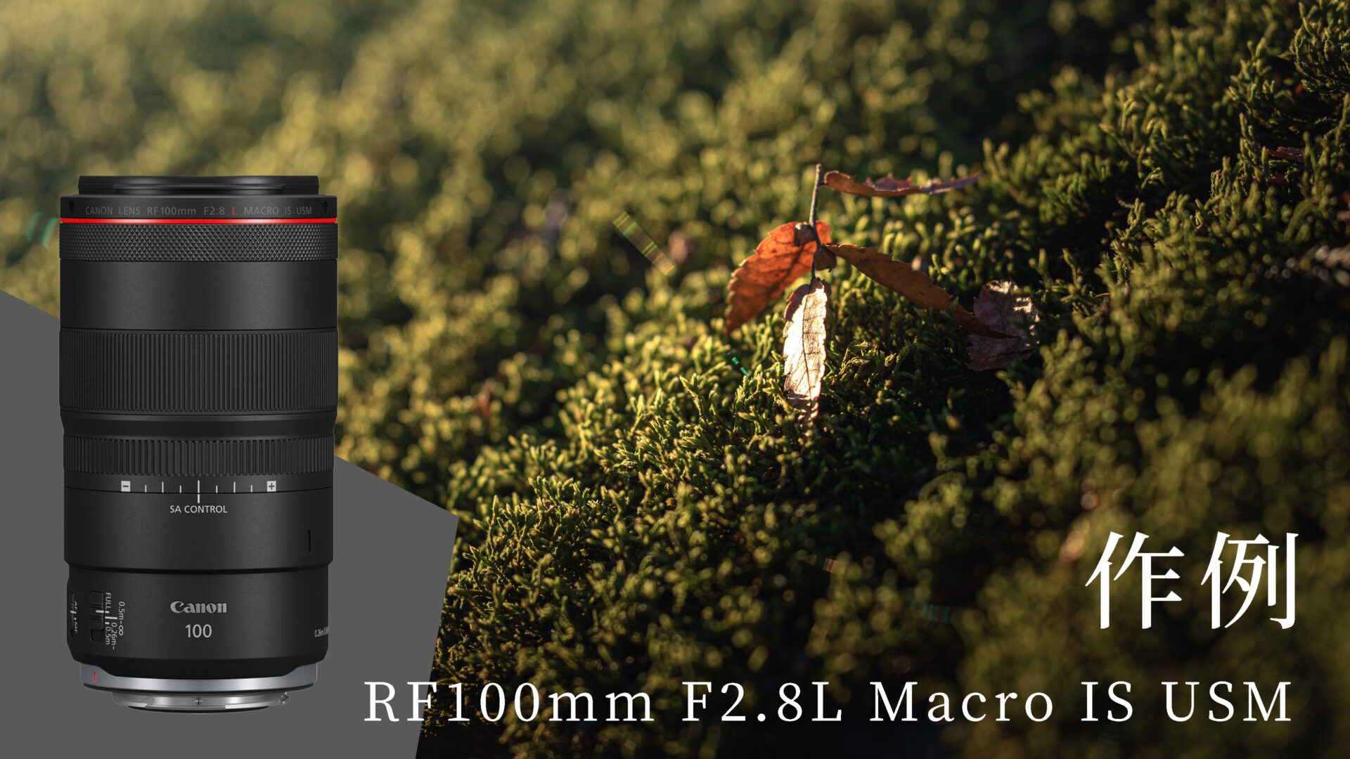 レビュー】RF100mm F2.8 L Macro IS USMはCanonユーザーなら絶対買う