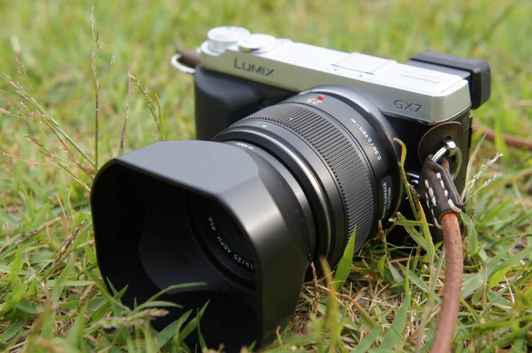 Panasonic DMC-GX7 + LEICA DG SUMMILUX 25mm/F1.4 ASPH. H-X025 @かめ