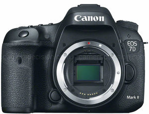Canon 7D MII Camera and Canon 24-105mm F4L IS II Lens