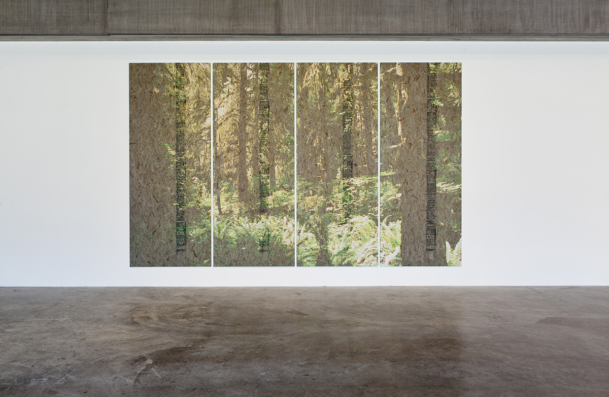 Peter Sutherland: Forests and Fires - Contemporary Art Museum St