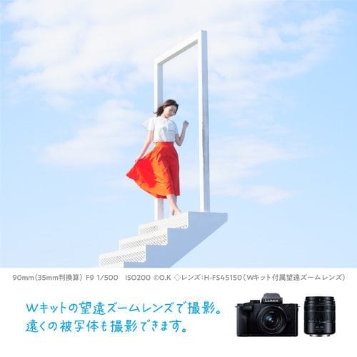 期間限定ギフトプレゼント】パナソニック DC-G100DW-K デジタル一眼