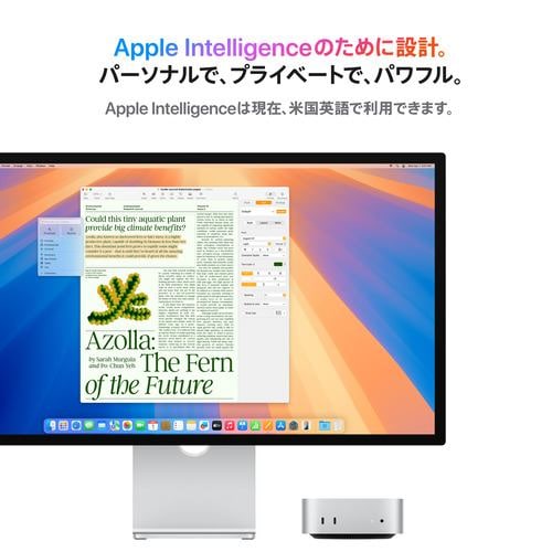アップル(Apple) MU9D3J/A Mac mini Apple M4チップ 10コアCPU 10コア