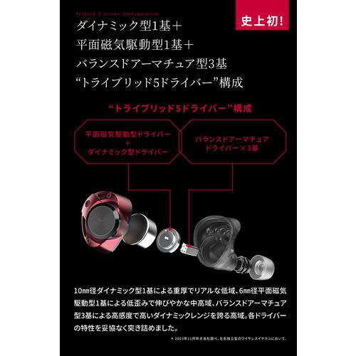 AVIOT TE-ZX1 トゥルーワイヤレスイヤホン ZX1 | ヤマダウェブコム