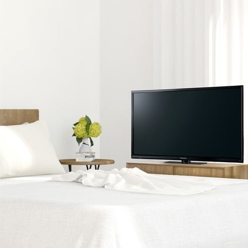 パナソニック TH-32J300 地上・BS・110度CSデジタルハイビジョン液晶