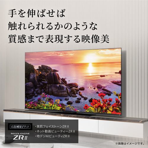東芝 65Z770L タイムシフトマシン 4K量子ドット液晶テレビ レグザ