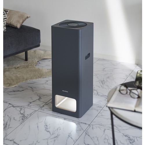 BALMUDA A01A-GR 空気清浄機 BALMUDA The Pure ダークグレー A01AGR