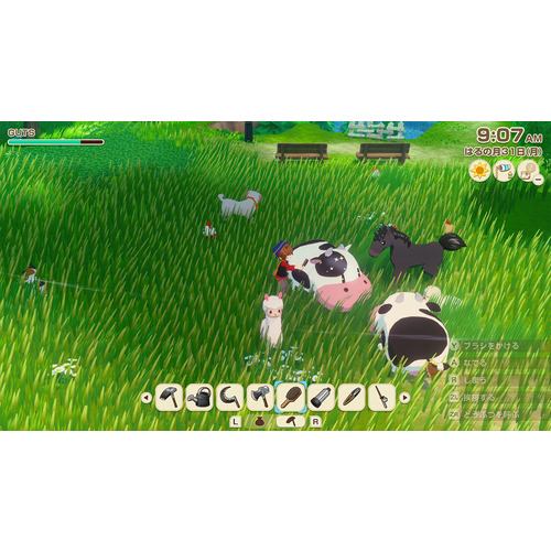 牧場物語 Let's！風のグランドバザール 【Switch】 HAC-P-BG4TA