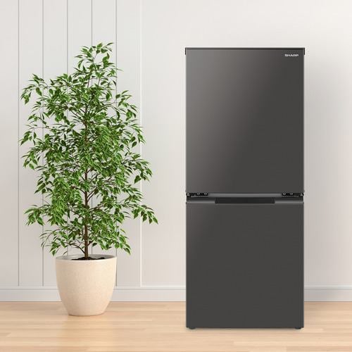 シャープ 冷蔵庫 152L 左右付替 2ドア 幅49.5cm 一人暮し向け どっちも