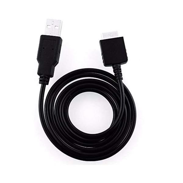 ヤマダモール | 2本 SONY用 Walkman NW-A55 A56 A57 A45 A46 A47 A35