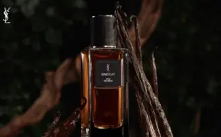 ゲラン】ダービー（ジャン＝ポール・ゲラン） | カイエ・デ・モード