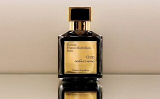 ラルチザン】スキン オン スキン（ベルトラン・ドゥシュフール