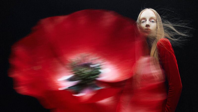 ジョー マローン】スカーレット ポピー コロン インテンス（マティルデ