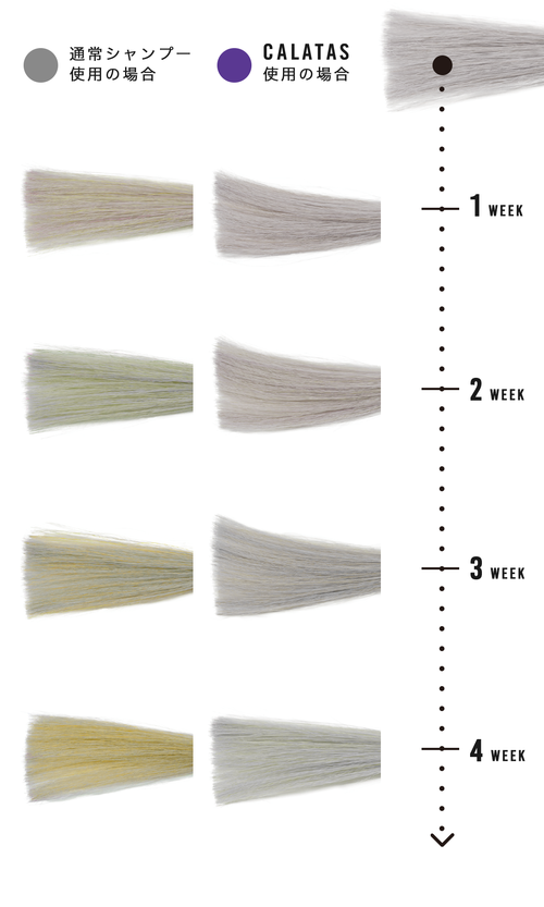 HEAT CARE SET ‐ Pr ‐ シャンプー＆トリートメント セット - CALATAS