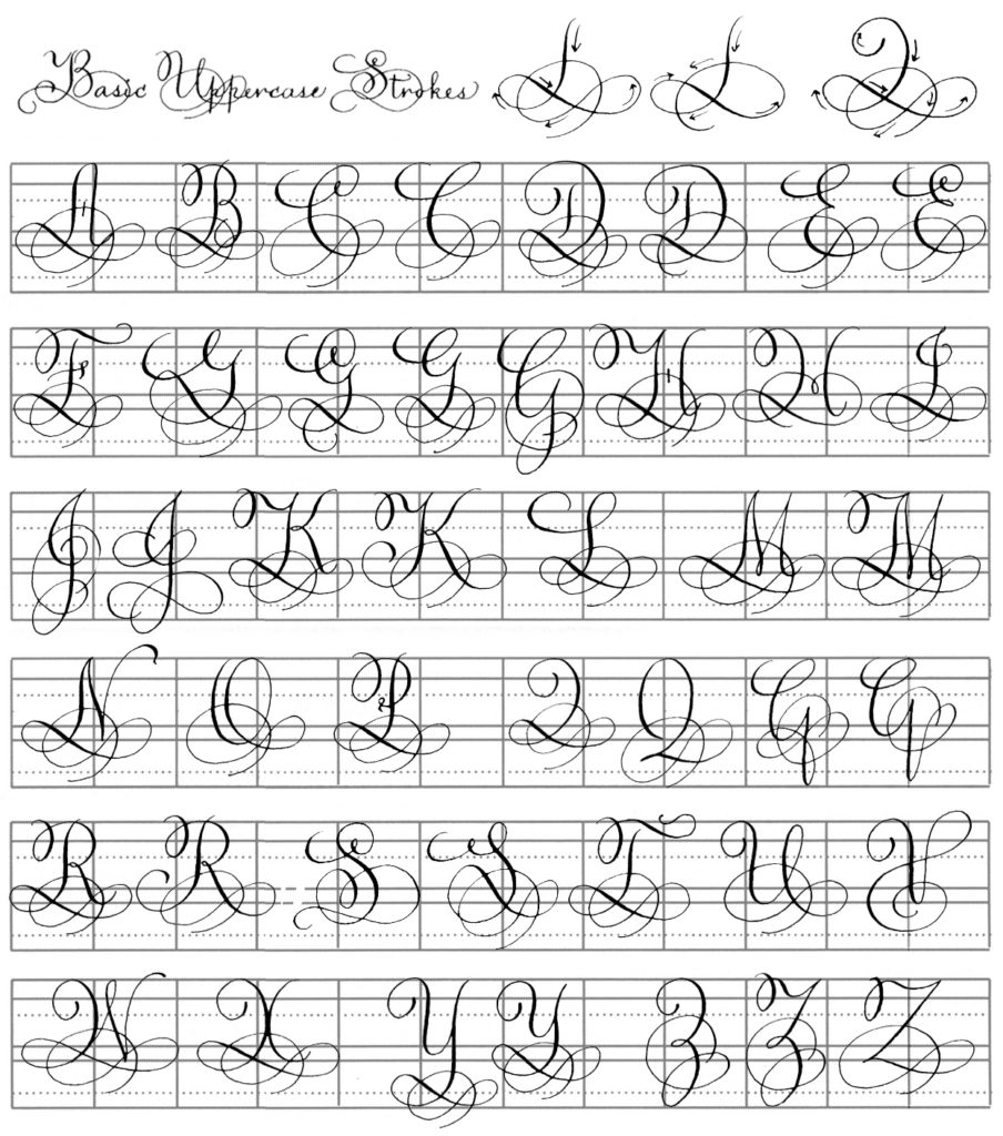 Vertical Ornamental Penmanship - Calligraphy Crush Magazine