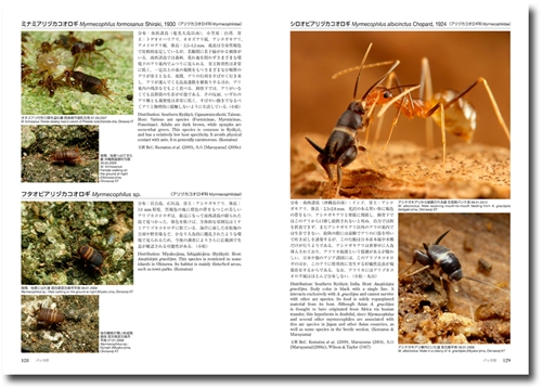 アリの巣の生きもの図鑑 The Guests of Japanese