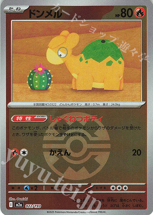 ドンメル(ボール柄/ミラー仕様) 販売 | [M2a] ハイクラスパック MEGA