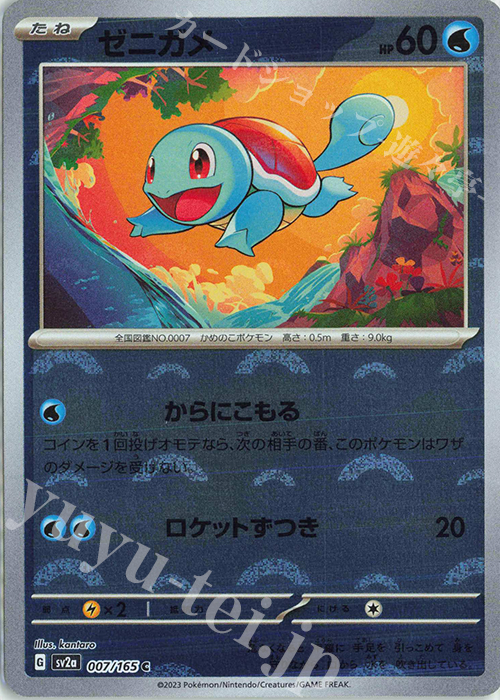 C ゼニガメ(モンスターボール柄/ミラー仕様) 販売 | [SV2a] 強化拡張