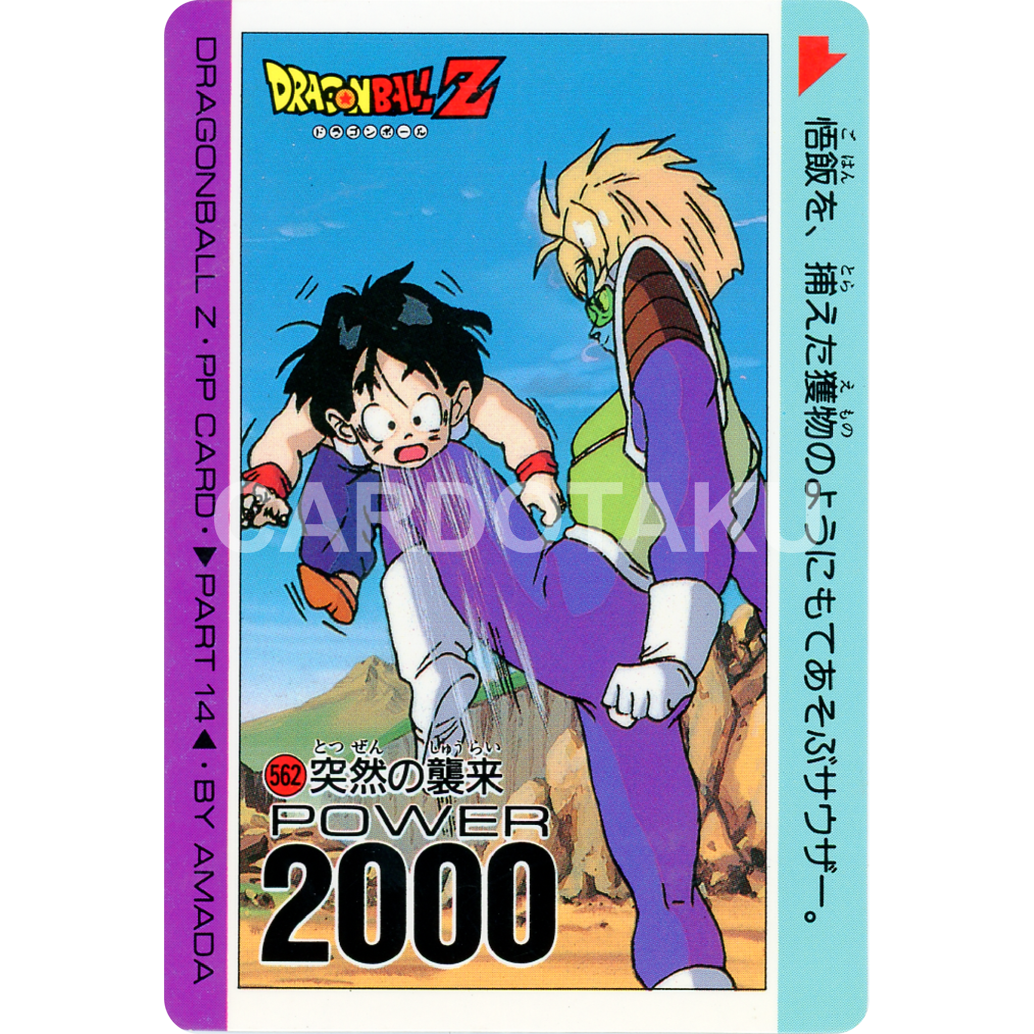 DRAGON BALL PP Card