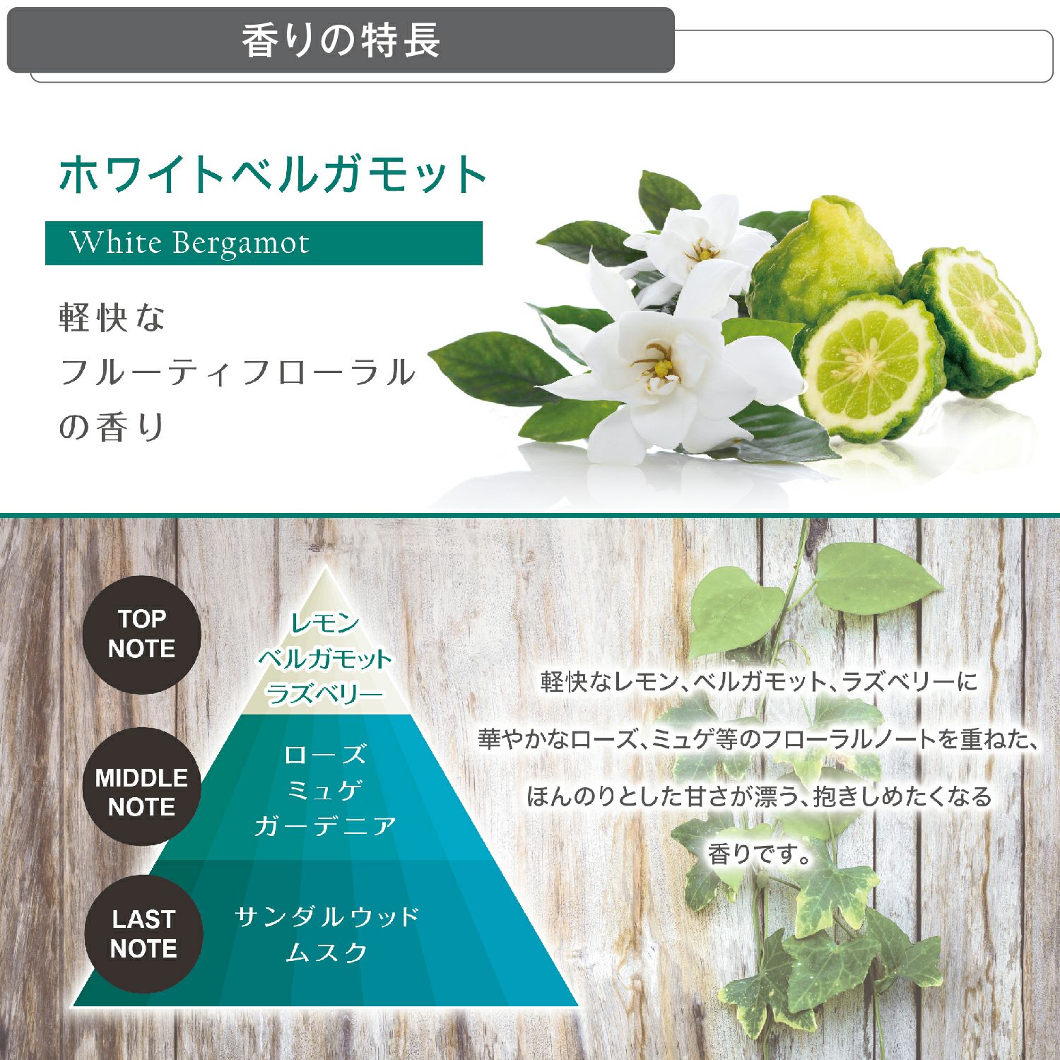 L851 ルーノ リキッド オム ホワイトベルガモット | カーメイト 公式