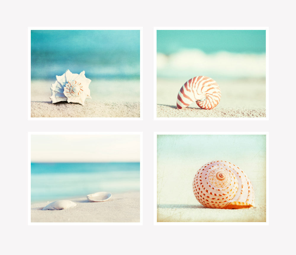 Seashell Photography Set | Seashell Beach Photographs – Carolyn