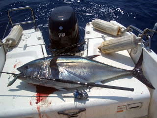 ブルーチェイサー BLC83／13