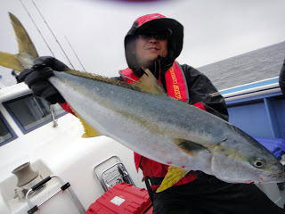 ブルーチェイサー BLC83／13