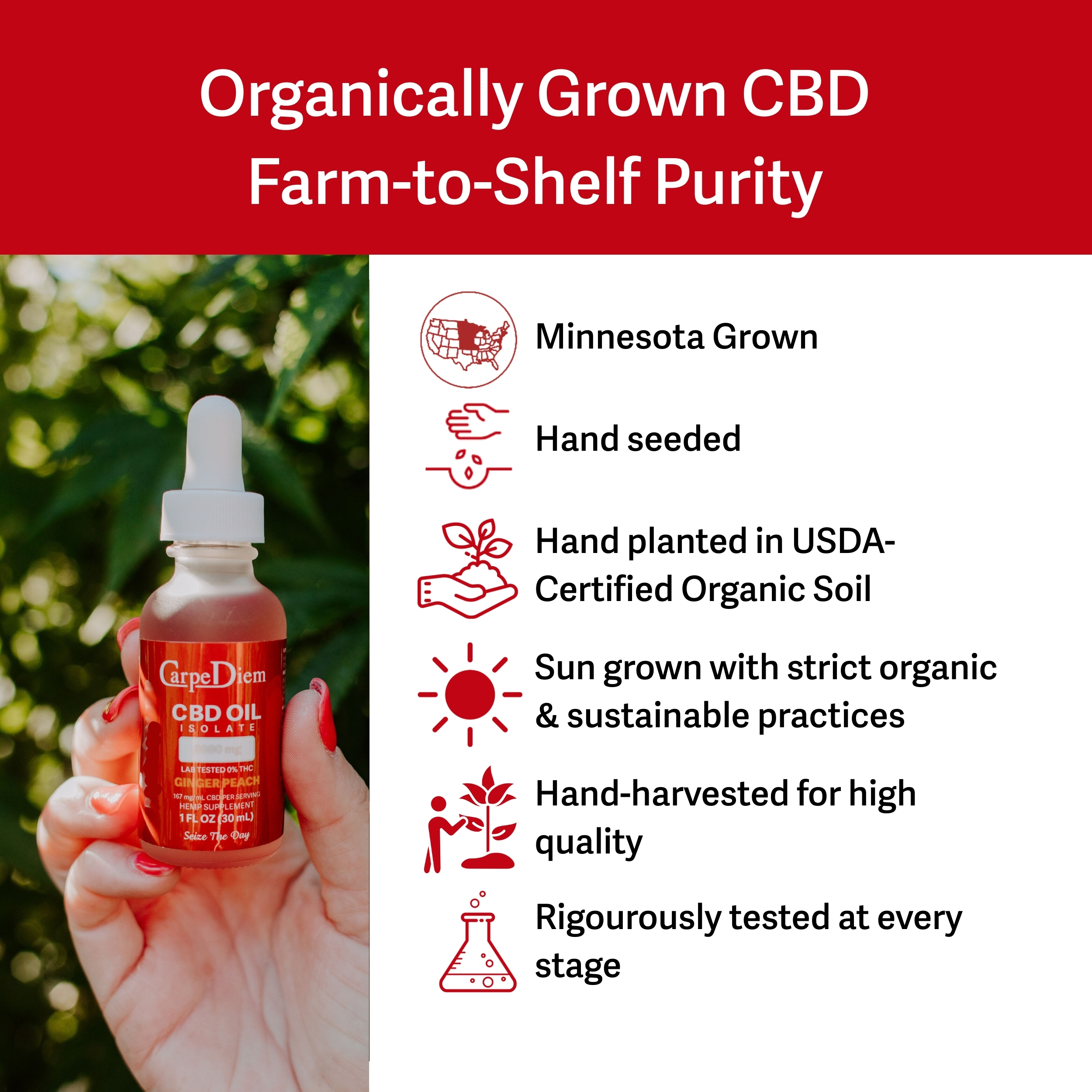 Sleep CBD Oil 2500 mg (THC-Free) - Carpe Diem CBD