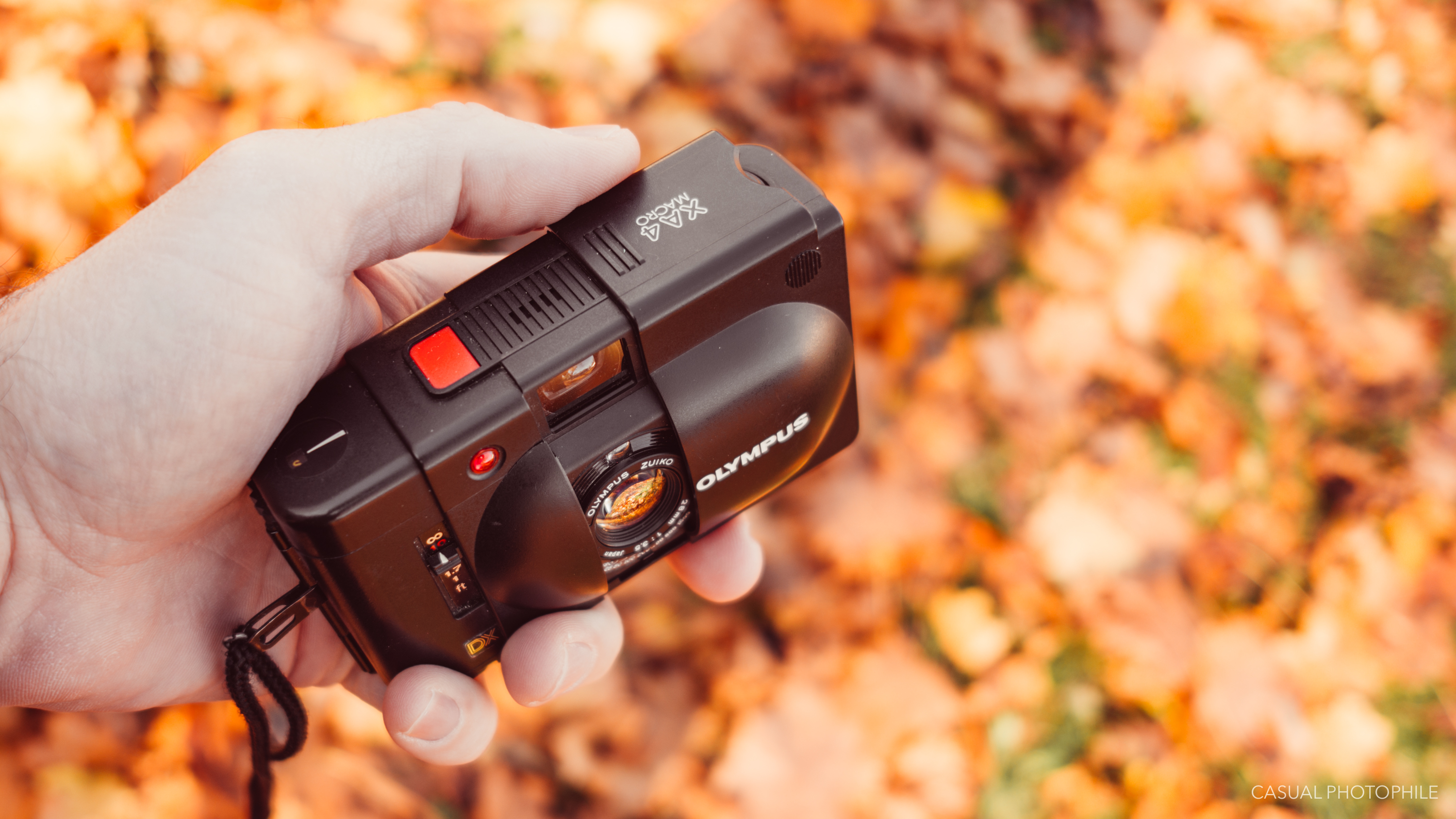 Olympus XA4 Macro Review - Great Things in Small Packages