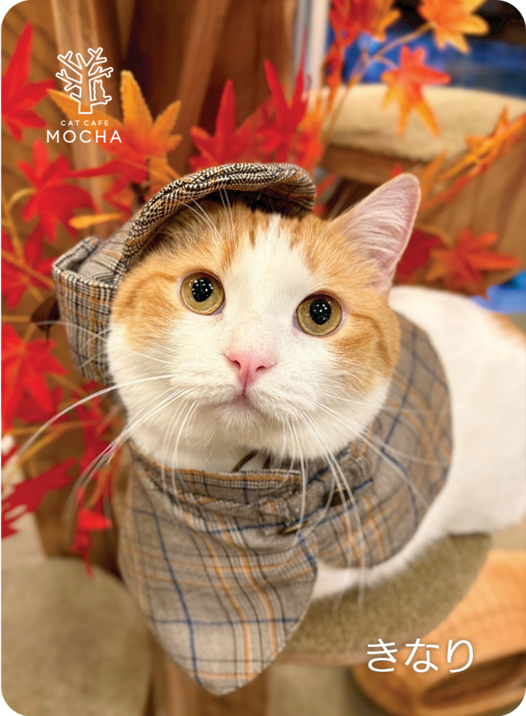 グッズ販売のお知らせ | お知らせ/メディア掲載情報