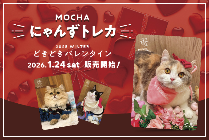 新作トレカ販売のお知らせ | お知らせ/メディア掲載情報